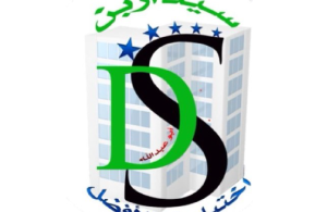 شركة سيدار بن