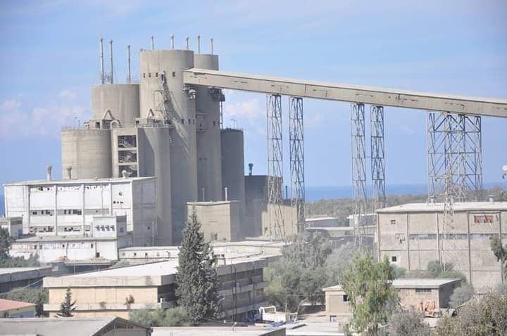 12 شركة عربية وأجنبية تتقدم للاستثمار في معملي إسمنت المسلمية وعدرا